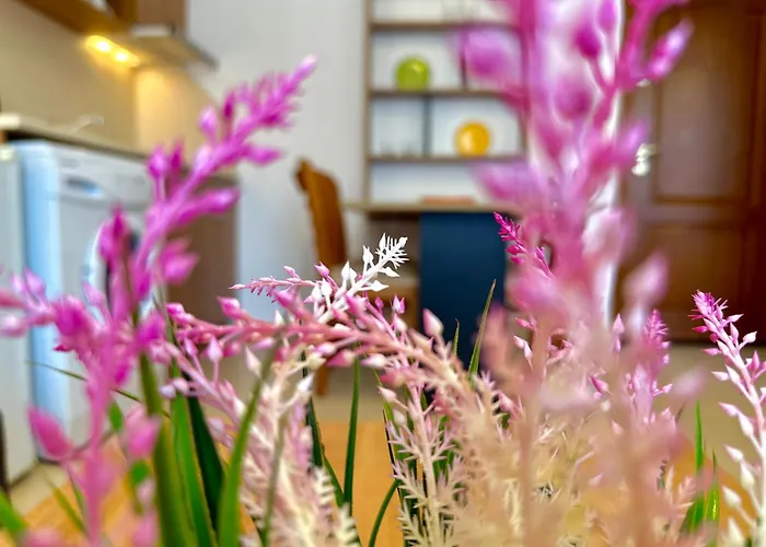 Efir 2 - Menada Aparthotel