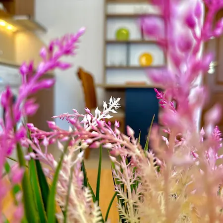 Efir 2 - Menada Ξενοδοχείο με διαμερίσματα