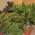 Appart hôtel Efir 2 - Menada 3*