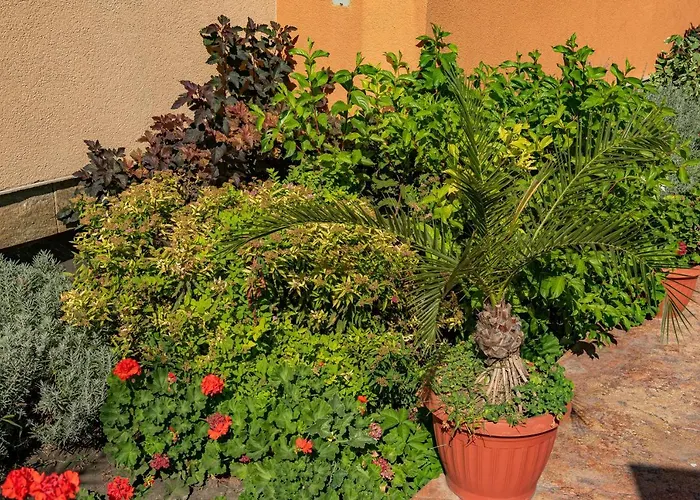 Lägenhetshotell Efir 2 - Menada