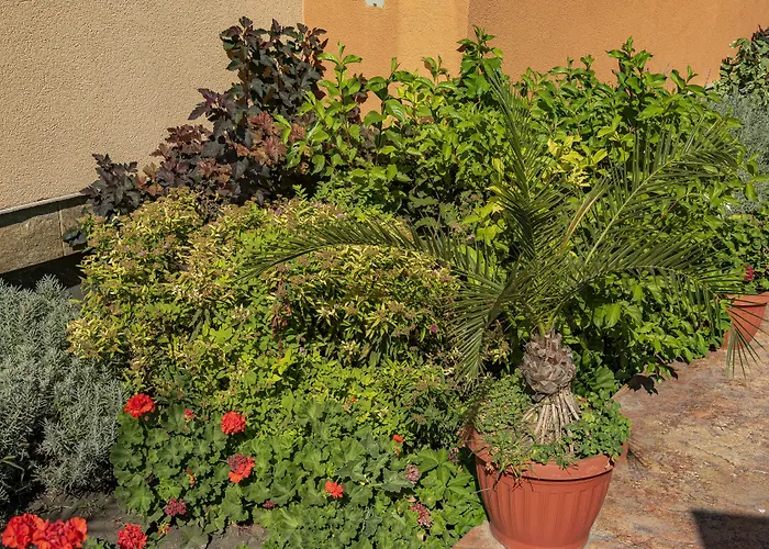 Lägenhetshotell Efir 2 - Menada 3*